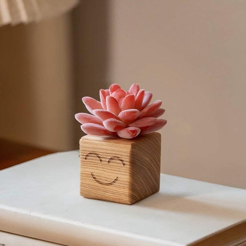 Smiley Face Wood Succulent Planter | Faux Succulent Blind Box Set | Cute Desk Decor Gift
