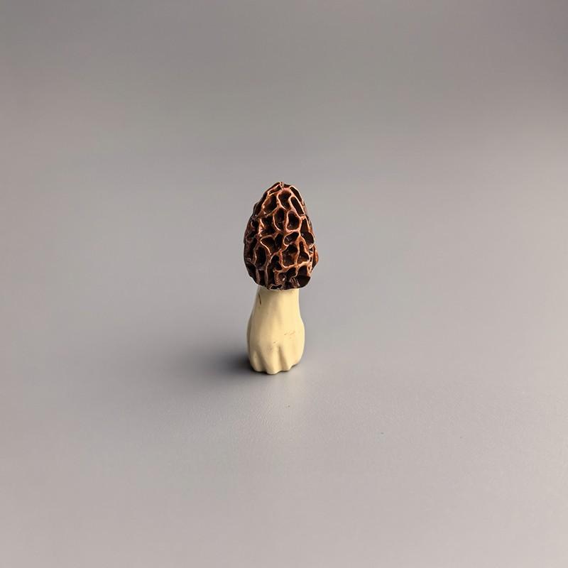 Your Woodland Wonders Collection  A Set of 8 Botanical Mushroom Statues