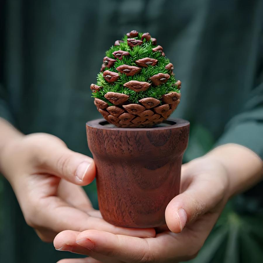 Pine Cone Moss Aromatherapy Desk Sculpture | Walnut Base | Preserved Moss & Natural Pine Cone Decor
