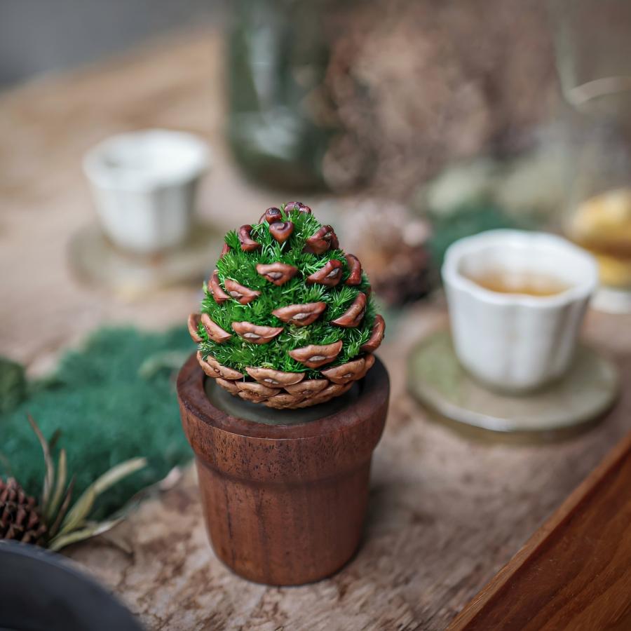 Pine Cone Moss Aromatherapy Desk Sculpture | Walnut Base | Preserved Moss & Natural Pine Cone Decor