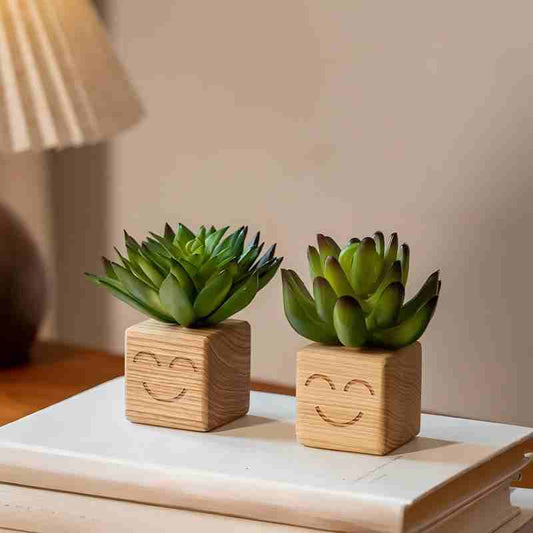 Smiley Face Wood Succulent Planter | Faux Succulent Blind Box Set | Cute Desk Decor Gift