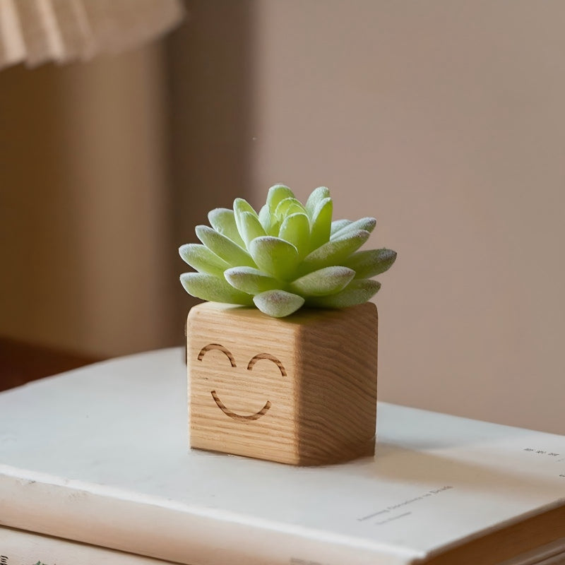 Smiley Face Wood Succulent Planter | Faux Succulent Blind Box Set | Cute Desk Decor Gift