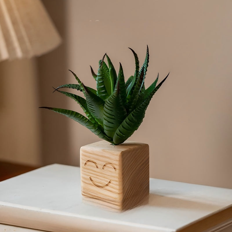 Smiley Face Wood Succulent Planter | Faux Succulent Blind Box Set | Cute Desk Decor Gift