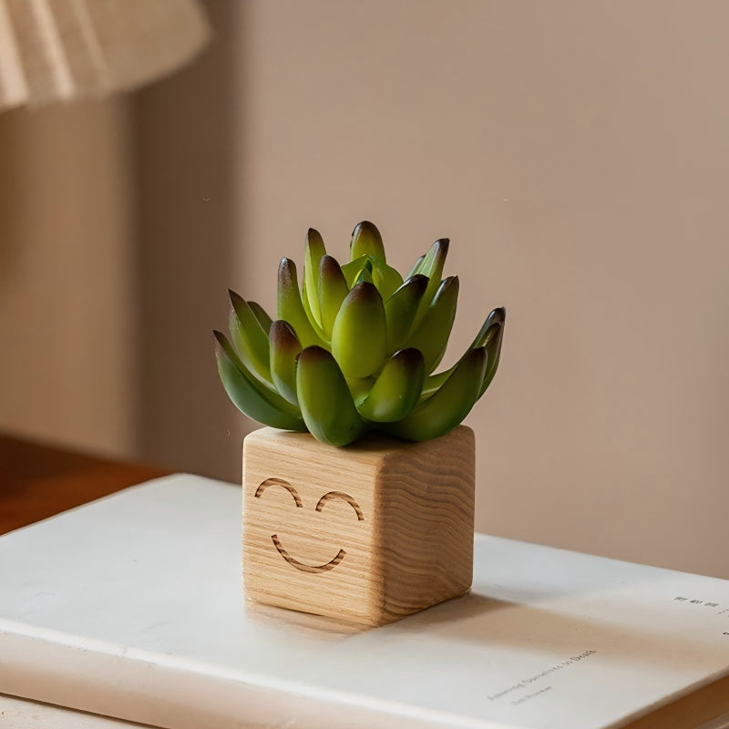 Smiley Face Wood Succulent Planter | Faux Succulent Blind Box Set | Cute Desk Decor Gift