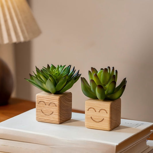 Smiley Face Wood Succulent Planter | Faux Succulent Blind Box Set | Cute Desk Decor Gift