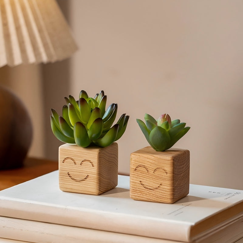 Smiley Face Wood Succulent Planter | Faux Succulent Blind Box Set | Cute Desk Decor Gift
