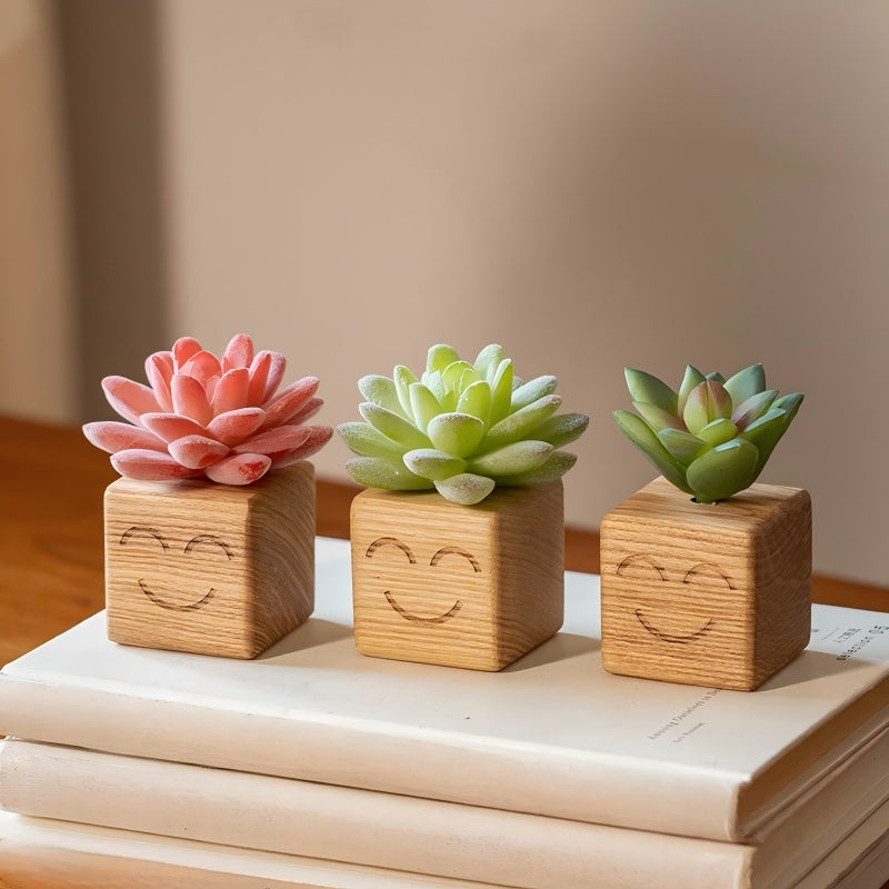 Smiley Face Wood Succulent Planter | Faux Succulent Blind Box Set | Cute Desk Decor Gift