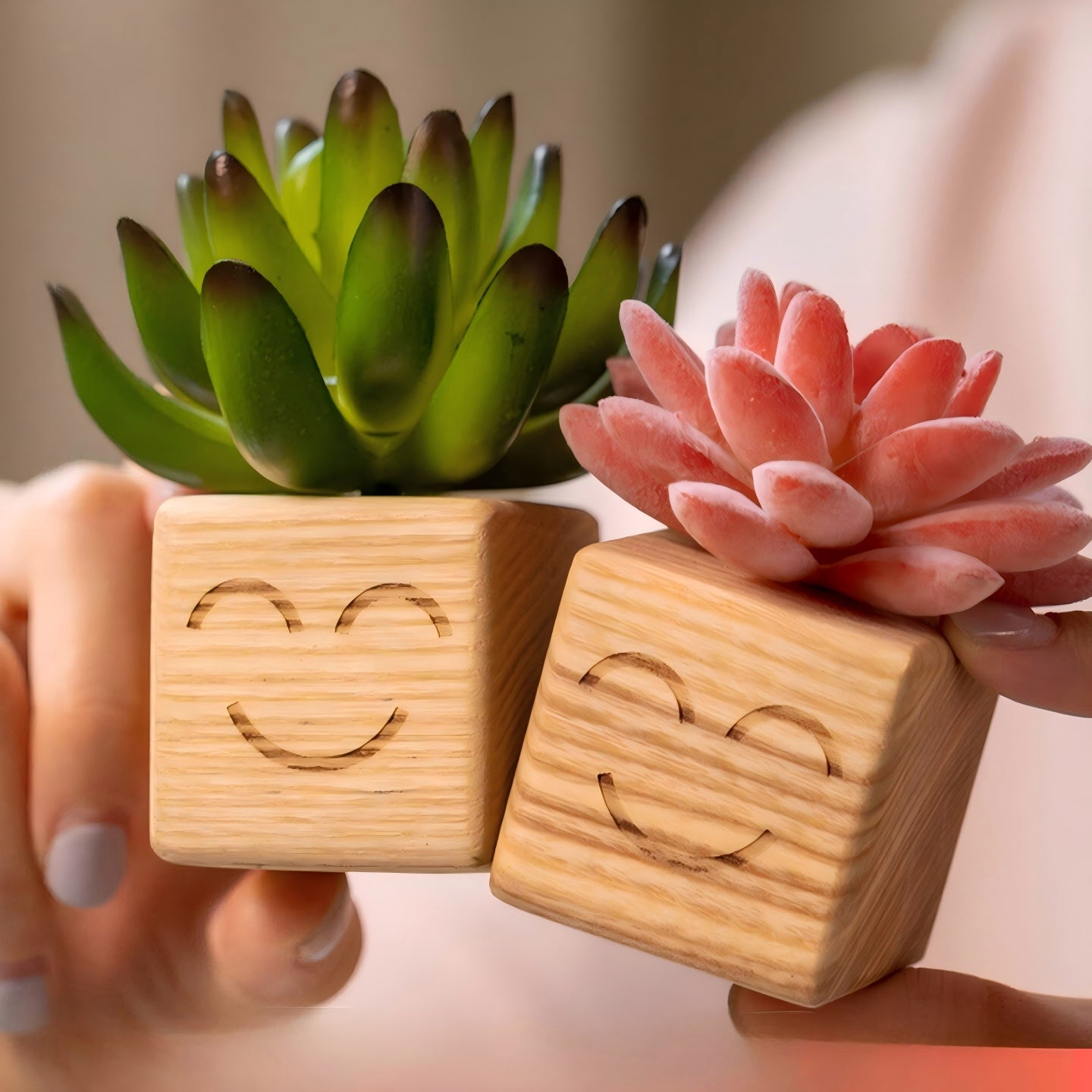 Smiley Face Wood Succulent Planter | Faux Succulent Blind Box Set | Cute Desk Decor Gift