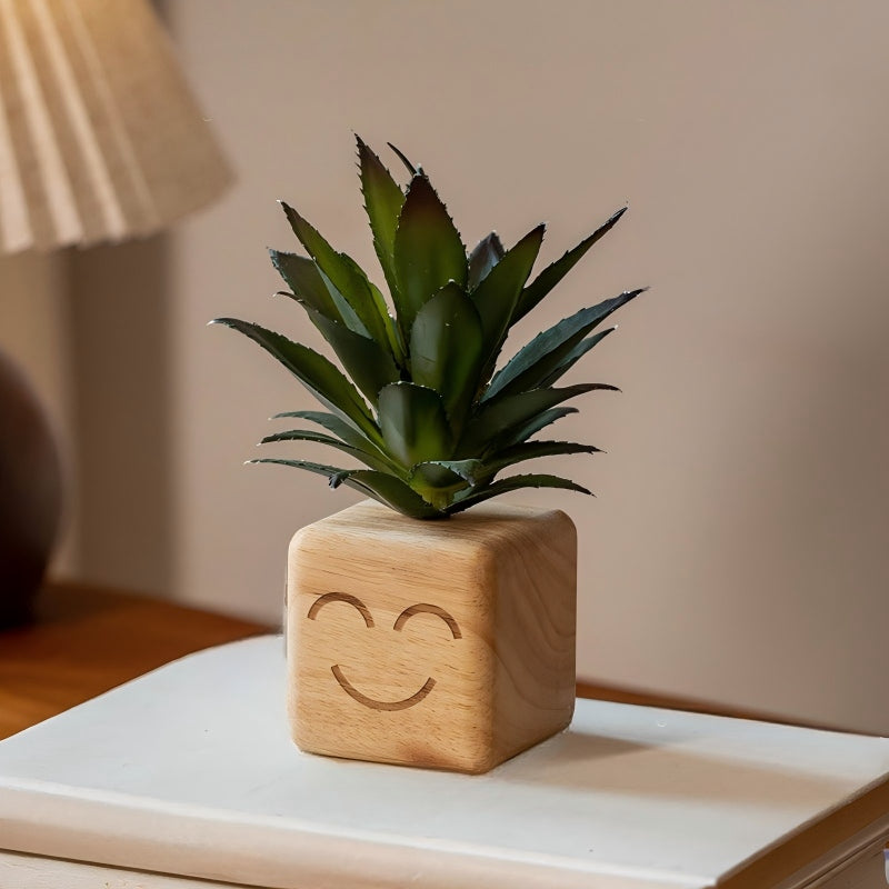 Smiley Face Wood Succulent Planter | Faux Succulent Blind Box Set | Cute Desk Decor Gift