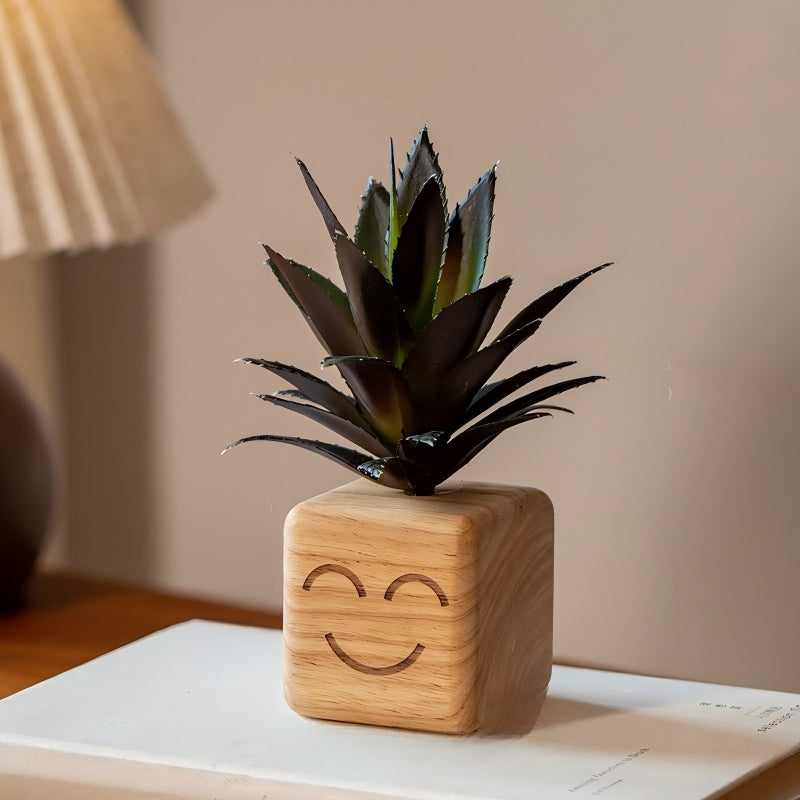 Smiley Face Wood Succulent Planter | Faux Succulent Blind Box Set | Cute Desk Decor Gift