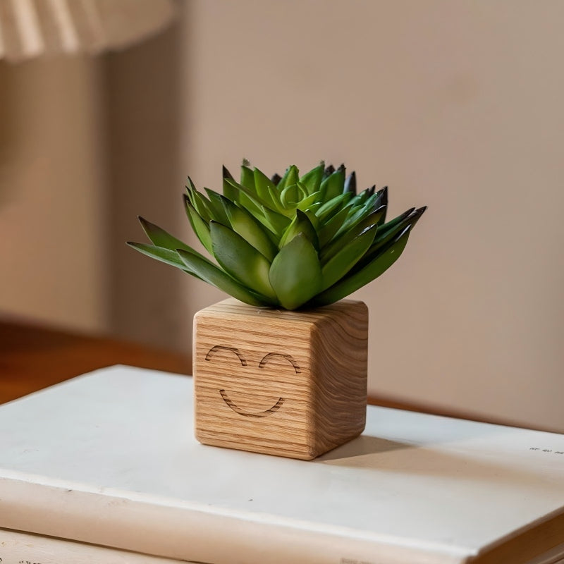 Smiley Face Wood Succulent Planter | Faux Succulent Blind Box Set | Cute Desk Decor Gift