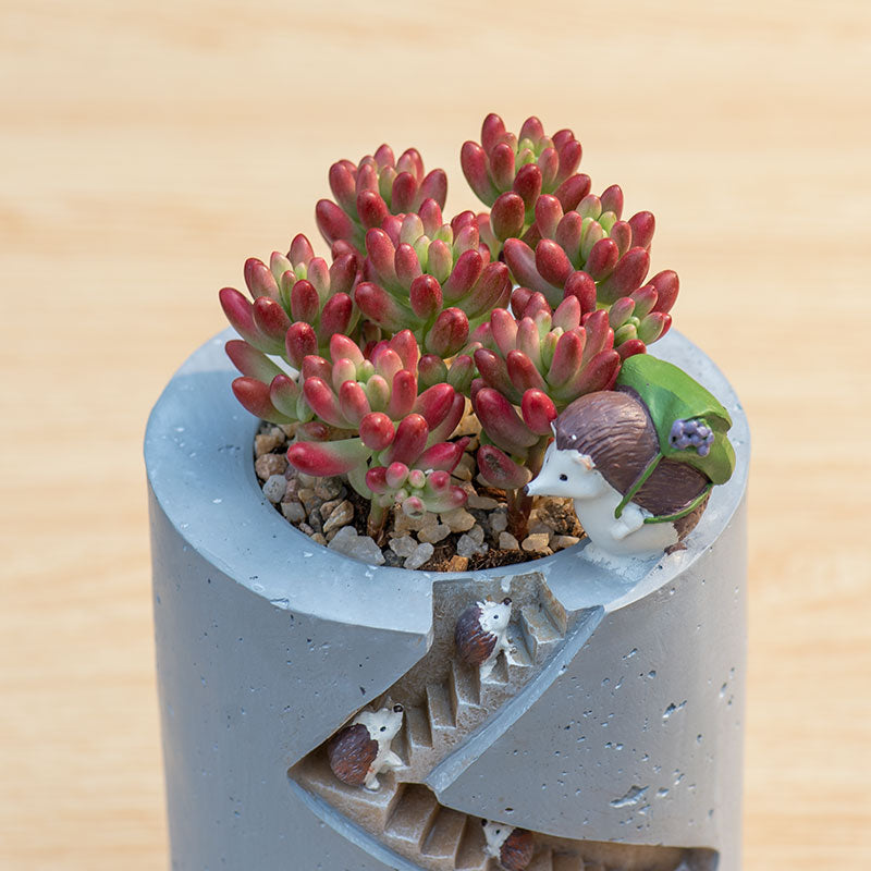 Spiral Staircase Succulent Planter | Miniature Animal Village Resin Pot | Cute Desk Decor (No Plant)