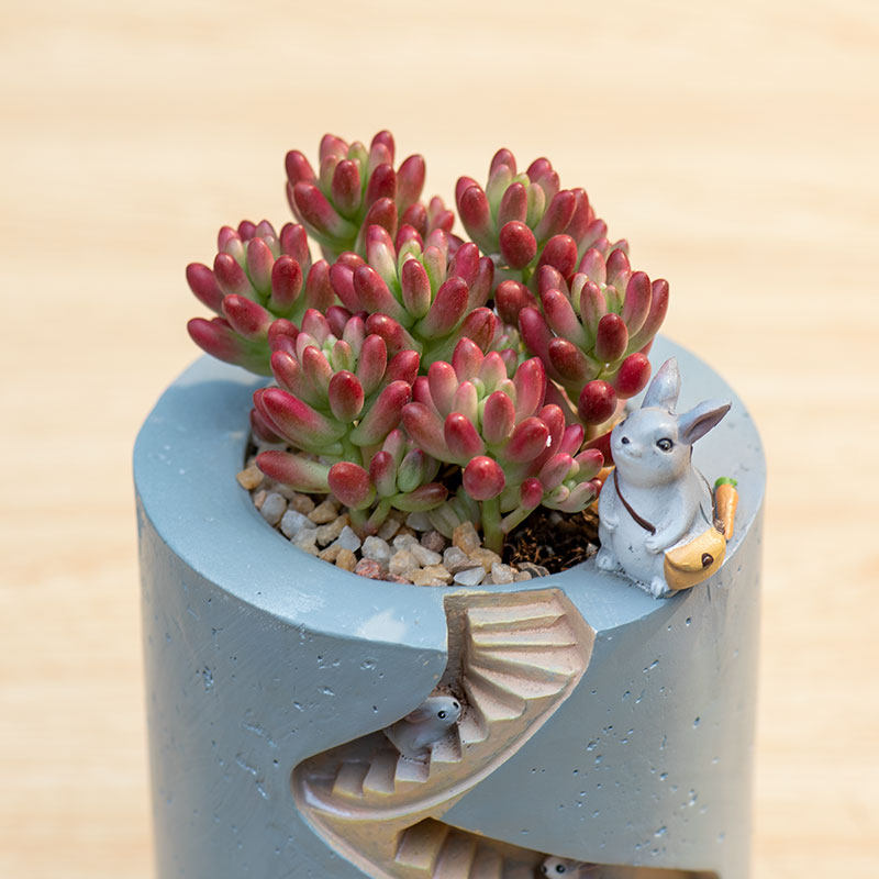 Spiral Staircase Succulent Planter | Miniature Animal Village Resin Pot | Cute Desk Decor (No Plant)